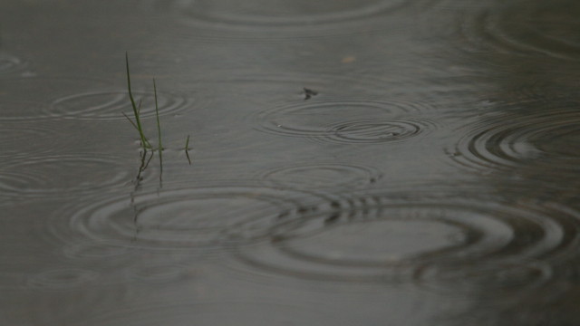 Със своя заповед от днес кметът на Белослав Деян Иванов