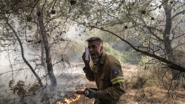 В гръцката столица Атина пламъците изпепелиха къщи и наложиха евакуация