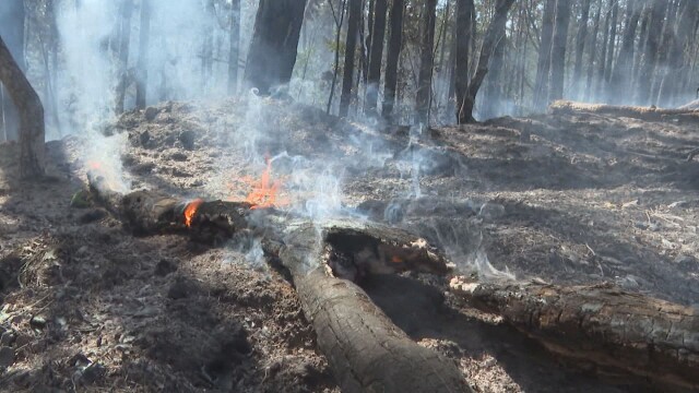 Пожарът който възникна между селата Калугерово и Лесичово край Пазарджик