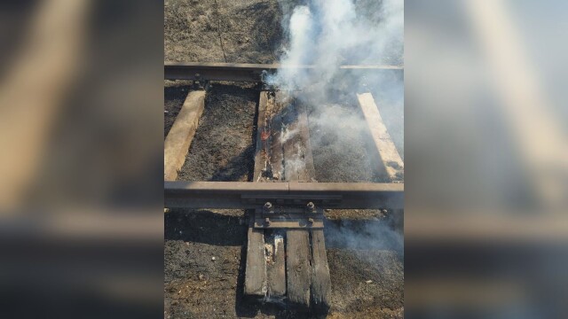 Заради горещото време сухи пламнаха в района на гара Пловдив
