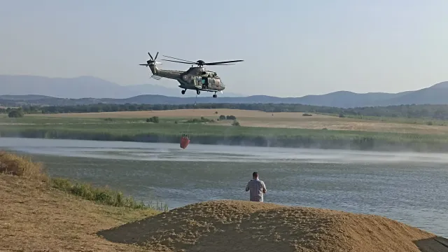 Пожар в Пловдивско