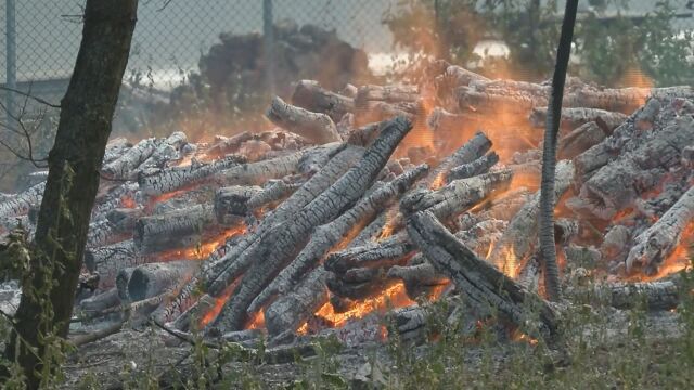 Голям пожар в парка на Минералните бани край Бургас затвори