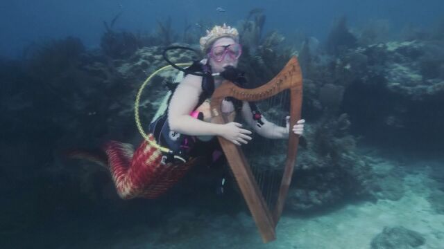 Нестандартен концерт с кауза Русалки забавляват посетителите в морето на