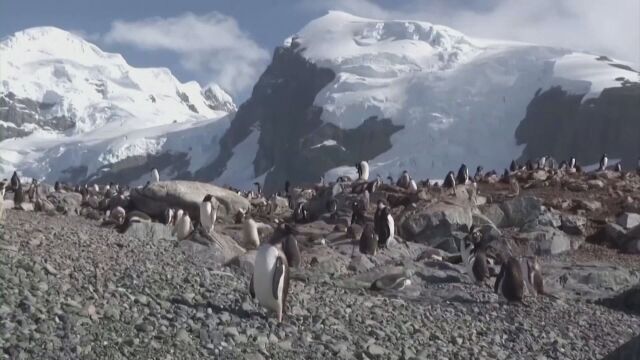 Огромният спад в нивото на морския лед на Антарктида предвещава