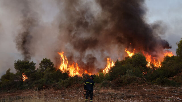 Стотици горски пожари бушуват по целия свят заради летните горещини