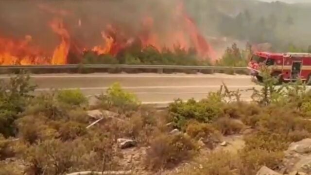Няма жертви до момента след горските пожари на гръцкия остров