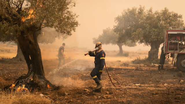 В Гърция сезонът на пожарите започна необичайно рано В неделя