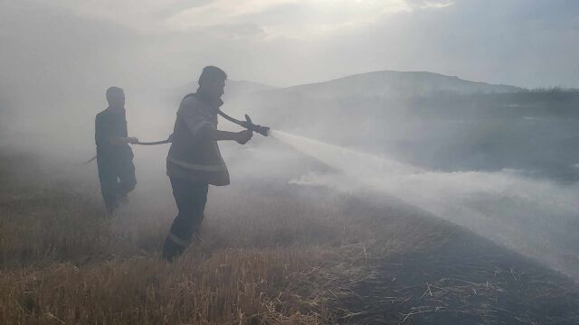 Голям горски пожар до ивайловградското село Свирачи Пожарът е в