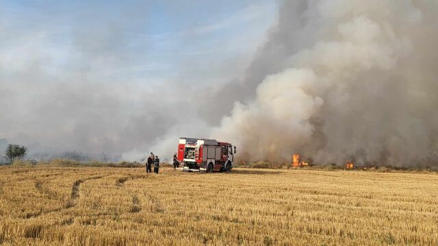 Големи горски пожари избухнаха в няколко общини в област Хасково