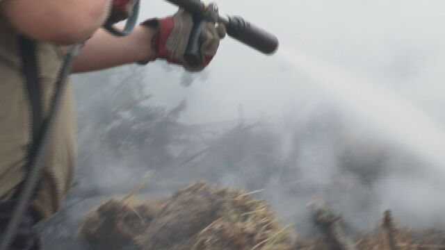Пожар гори в горната част на парк Тюлбето в Казанлък