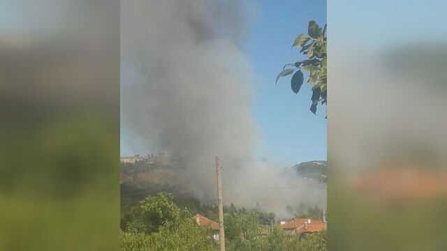 Гори пожар край пловдивското село Искра Няма опасност от разпространение