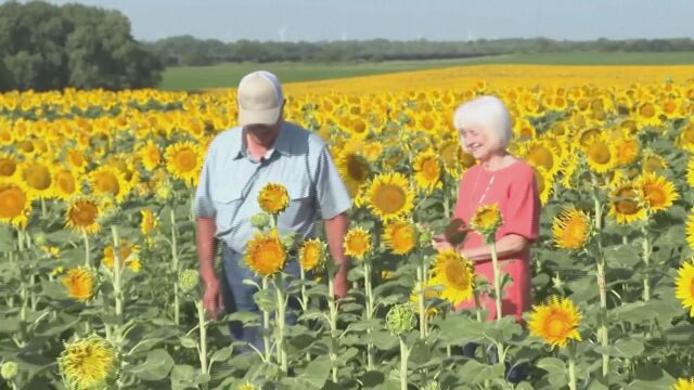 Фермер от американския щат Канзас зарадва съпругата си с необичаен