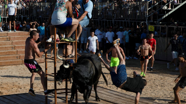 В Испания започна традиционното надбягване с бикове И тази година