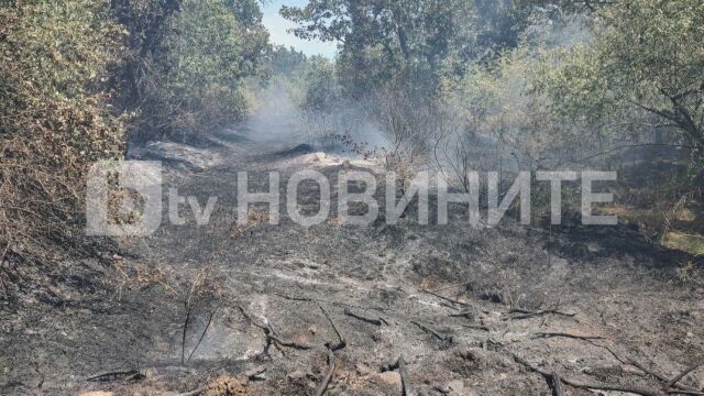 Пожар в парк Росенец Изгорели са сухи треви и растителност