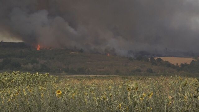  Пожарът в Свиленградско обхвана площ над 100 000 декара Огънят