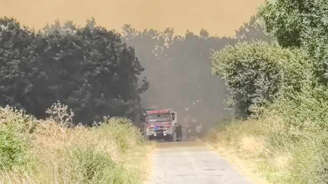 Голям пожар се разрази между селата Рогош и Скутаре община