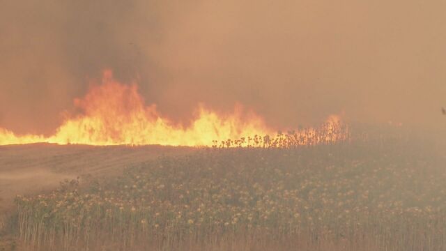 Мъж от Стрелча е задържан заради предизвикан от него пожар
