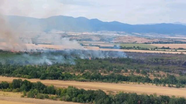 Потушен е пожарът край Мало Крушево и Драгомир 12 екипа