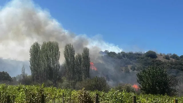 Пожар в Струмяни