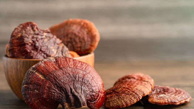 Лечебната сила на медицинските гъби е позната на човека от