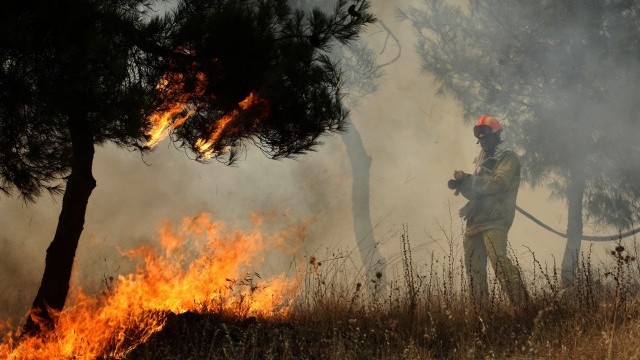 Пожарите които заплашваха няколко села по границата с Турция вече