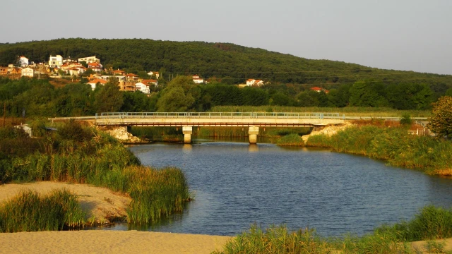 2110709825.webp