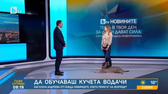 Елена Андреева е дресьор на кучета водачи Тя обясни че