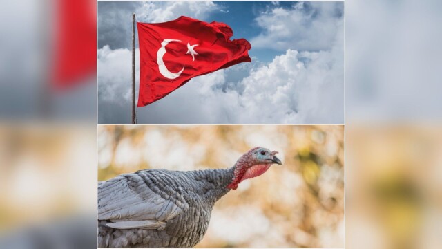 Отсега нататък Турция ще бъде наричана Тюркие в ООН след