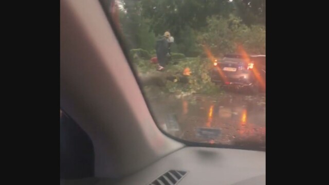 Дърво падна върху кола в района на националния стадион Васил