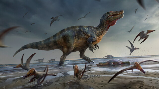 Учени откриха останки от най големия досега сухоземен динозавър в Европа