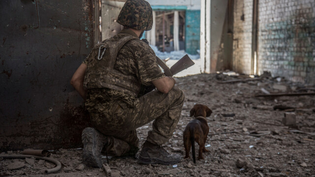 В Украйна продължава да расте броят на загиналите цивилни по