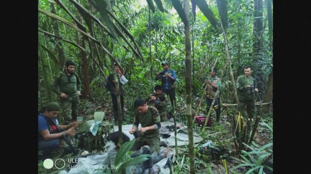 Четирите деца които оцеляха след 40 дни сами в джунглата