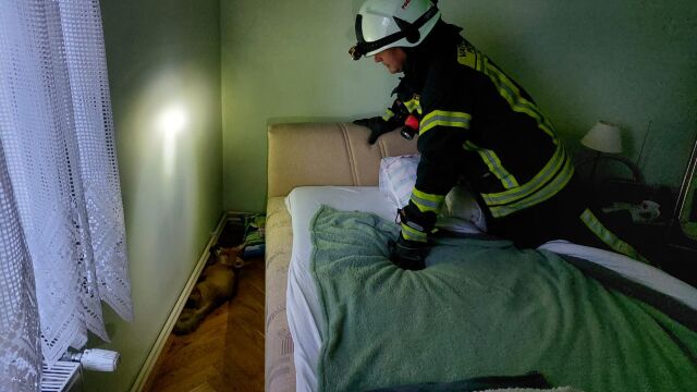 Необичайна операция проведоха пожарникари в хърватския град Петриня  Те пристигнали в