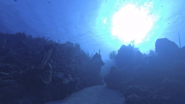  Океанските траншеи на Земята все още са забулени в мистерия