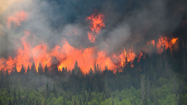 Броят на пожарите и площта на изгорелите земи в Канада