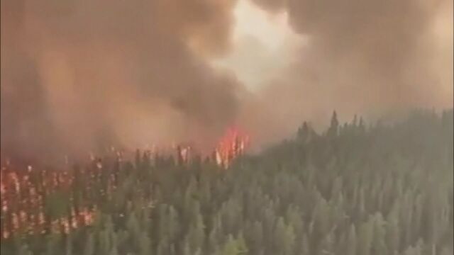 Димът от горските пожари в Канада достигна Европа В атмосферата