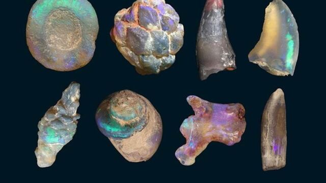  Чували ли сте за кристални вкаменелости Тези великолепни находки се