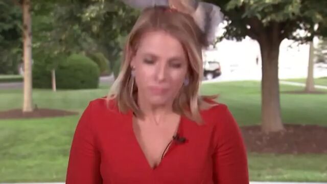 Птица кацна на главата на репортерка пред Белия дом точно