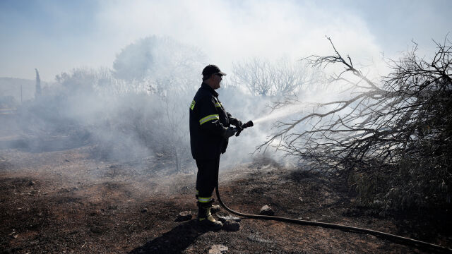 Гърция под тревога за горски пожари заради екстремните горещини Засегнати
