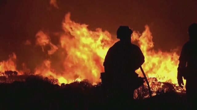 Южна България пламна Десетки пожарникари горски и местни доброволци участват
