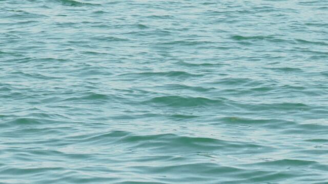  Черно море придобива тюркоазен цвят Това е видно от редица