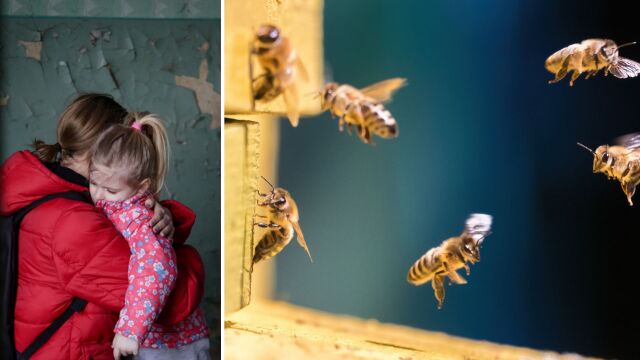  Пчелният восък може да бъде от решаващо значение за запазване