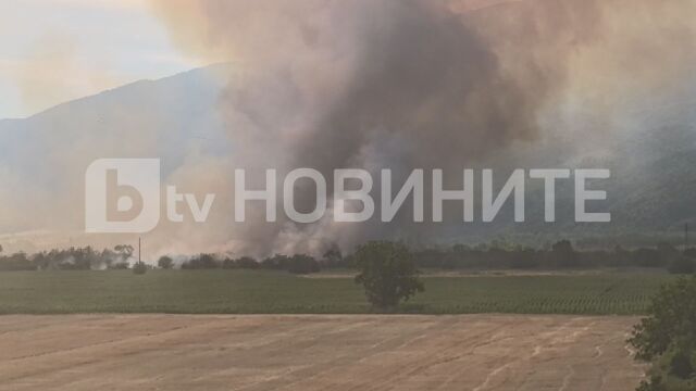 В следобедните часове пожар пламна в житни полета край село
