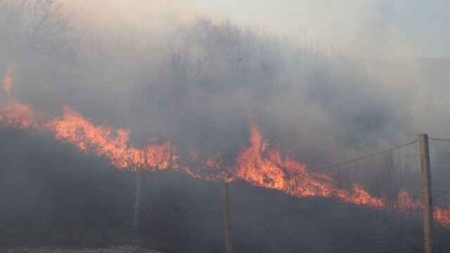 Пожар гори на военния полигон в село Змейово Сигналът е