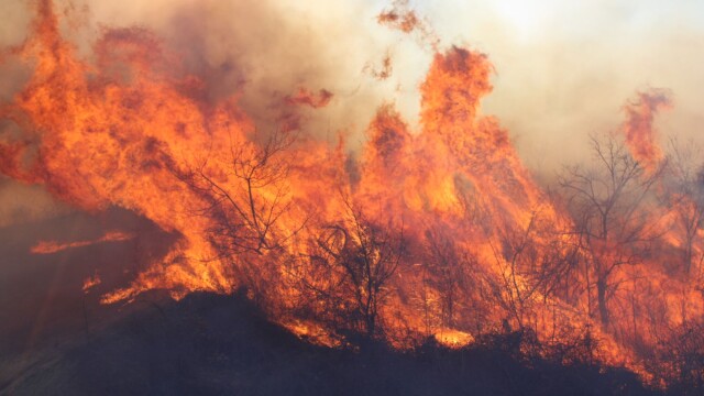  Сезонът на горските пожари в хасковско открит с два пожара