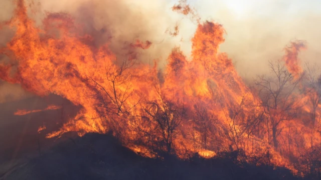 Пожар гори на територията на рудник 2 на Мини Марица