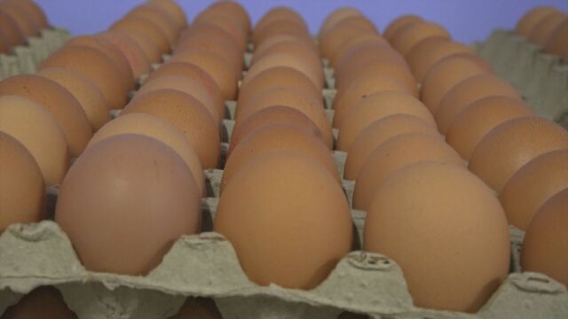 80% скок в цената на яйцата за последните две години