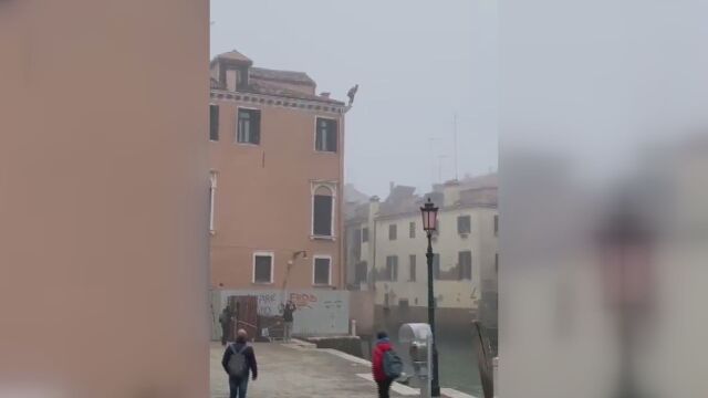 Италианските власти издирват мъж скочил от триетажна сграда в канал