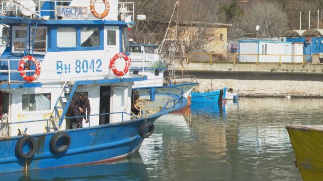 Българските моряци от трите риболовни кораба задържани в Румъния по