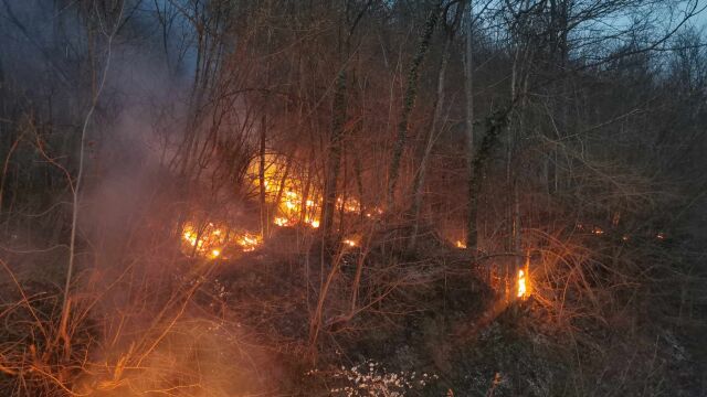 Пожар над язовир Сопот Пламнала е гората до пътя съобщават